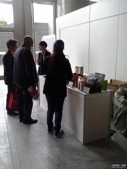 深耕教育咨詢，北京首冠國際賦能未來成長